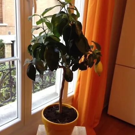 Apartment Petit Luxe A La Francaise - Paris A 15' Des Champs Elysees *
